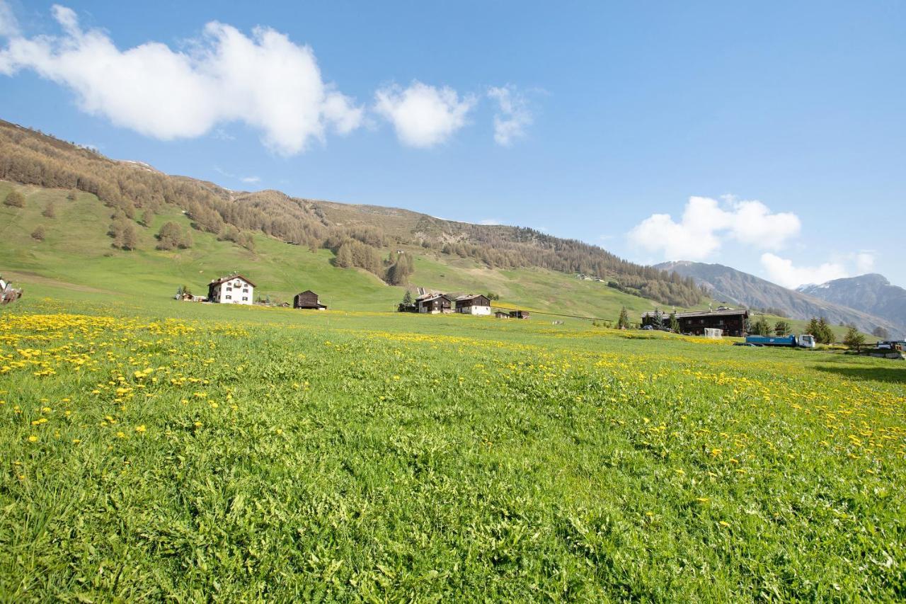 Baita Truzz Appartamento Valle ليفينو المظهر الخارجي الصورة
